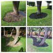 Photo #8: Sanchez landscape and tree services