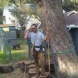 Photo #3: GATOR TREE CARE