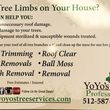 Photo #2: YOYO'S TREE PROFESSIONAL