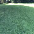 Photo #2: Lawn Service South Austin