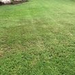 Photo #7: Lawn Service South Austin
