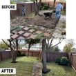 Photo #6: LMS Landscaping & Tree service