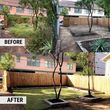 Photo #9: LMS Landscaping & Tree service