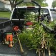 Photo #1: Roy's Tree/Landscaping Services