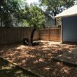 Photo #7: Roy's Tree/Landscaping Services