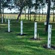 Photo #3: Lone Star Vinyl Fence