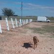 Photo #16: Lone Star Vinyl Fence