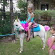 Photo #9: pony parties, pony rides,  unicorns, photoshoots