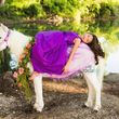 Photo #12: pony parties, pony rides,  unicorns, photoshoots