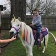 Photo #13: pony parties, pony rides,  unicorns, photoshoots