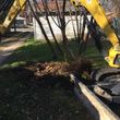 Photo #2: Tree trimming removal and stump grinding