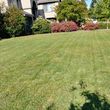 Photo #2: 🚜*One Touch Lawn Care & landscape, 0ne Time Clean ups*🇺🇸