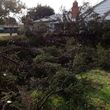 Photo #2: After storm clean - up