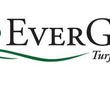 Photo #1:  EverGreen Turf & Tree Care, Inc.