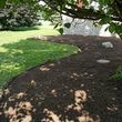 Photo #6: Henson's Lawn and Landscape
