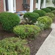 Photo #8: Henson's Lawn and Landscape