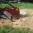 Photo #1: Stump grinding and removal
