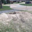 Photo #4: Stump grinding and removal