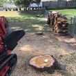 Photo #6: Stump grinding and removal