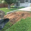 Photo #7: Stump grinding and removal