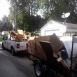 Photo #4: JUNK REMOVAL /TRASH DEBRIS HAULING FAST and CHEAP! Same day CLEANOUTs