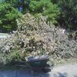 Photo #2: Trash and Yard Waste Removal