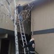 Photo #16: GUTTER CLEANING, edging,blowing,mowing,pruning,hauling,