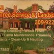 Photo #1: Polo Tree Service & Landscaping