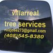 Photo #10: Villarreal trees service