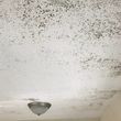 Photo #13: WATERPROOFING,PAINTING,MOLD TREATMENT,ROOFING RESTORATION