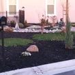 Photo #5: GARDENING AND LANDSCAPING