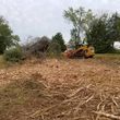 Photo #2: Land clearing brush cutting 