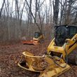 Photo #5: Land clearing brush cutting 