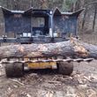 Photo #10: Land clearing brush cutting 