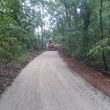 Photo #17: Land clearing brush cutting 