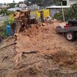 Photo #5: Tree Services/ Fallen Trees/ Need Help...