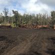 Photo #11: Bulldozing, Land clearing , Bulldozer , D9
