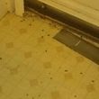 Photo #2: Pest Control services-Roaches, bed bugs, etc