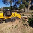 Photo #2: Stump grinding