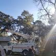 Photo #12: Heaven Sent Tree Service and Recovery INC