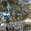 Photo #15: Heaven Sent Tree Service and Recovery INC