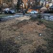 Photo #3: Services offered! Lot clearing, grading, tree removal, driveway repair