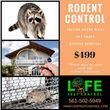 Photo #1: Rodent Control by Life Pest Control