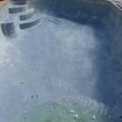 Photo #16: Pool service and acid wash...