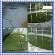Photo #24: Pool service and acid wash...