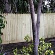 Photo #4: Concrete work, fence, landscape