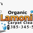 Photo #6: We get your carpets fresh and clean safely 
