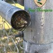 Photo #6: Bug Thumpers Pest Control