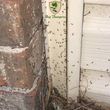Photo #8: Bug Thumpers Pest Control