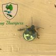 Photo #12: Bug Thumpers Pest Control